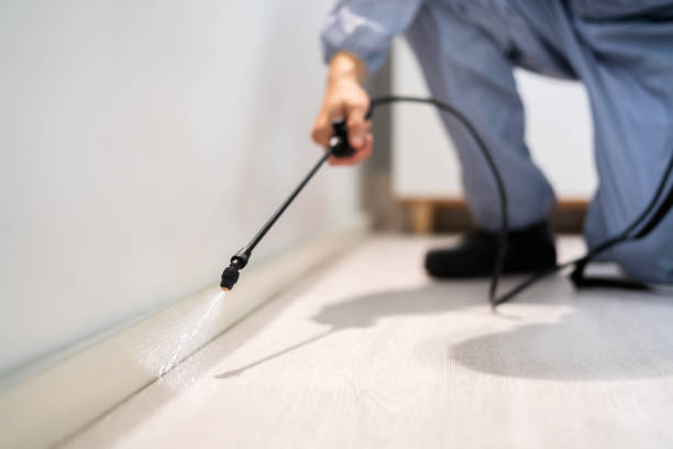 Licensed Termite Control service in Eielson AFB, AK - Nex Pest Control