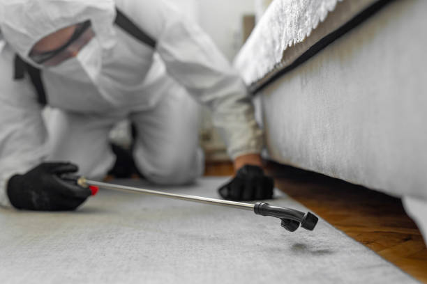 Professional Termite Control technician working in Eielson AFB, AK